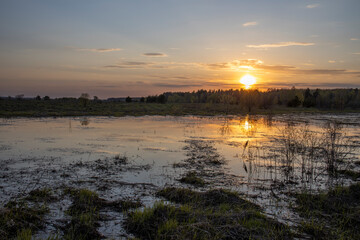 Wetland area. evening landscape, sunset over the swamp. Early spring.