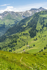 Fototapeta na wymiar Alpen valley of the Buochserhorn near Buochs in Switzerland. 