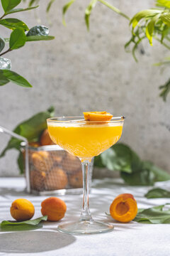 Elegant glass of Apricot Lady Cocktail or mocktails surrounded by ingredients and fresh fruits on gray table surface