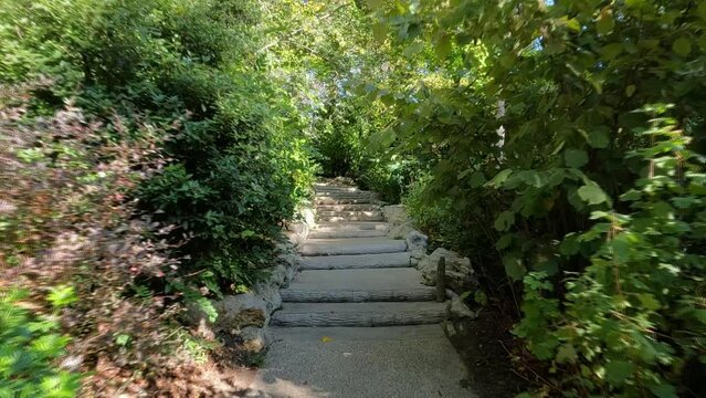 Monter un escalier à l'extérieur dans la nature - Part 1/2 - 119,88fps ralenti X4 - 29,97fps