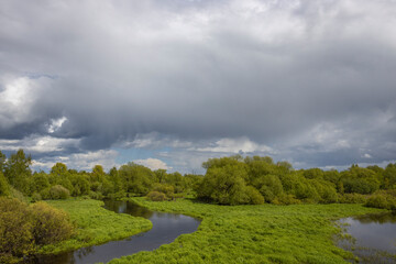 Rural landscape, bright May greenery, sunny day. Trees and bushes by the river.