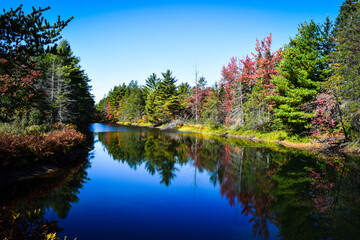 Reflections in the Fall