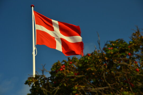 dänische flagge