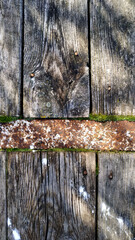 Wood planks moss and iron strip