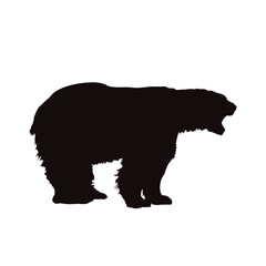 Obraz na płótnie Canvas silhouette of a polar bear
