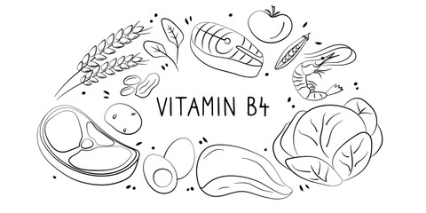 Vitamin B4 Choline. Groups of healthy products containing vitamins. Set of fruits, vegetables, meats, fish and dairy