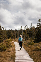Woman tourist with backpack hiking on wooden footpath in autumn mountains forest