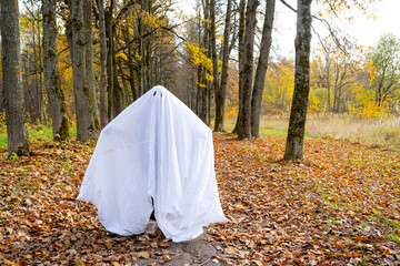 Fototapeta premium A child in sheets with cutout for eyes like a ghost costume in an autumn forest scares and terrifies. A kind little funny ghost. Halloween Party