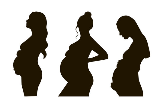 Silhouette of pregnant women. Isolated on white. Vector illustration