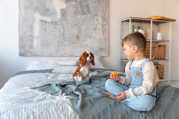 A preschool child plays with little poppy of cocker at the bed