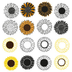 Sunflowers set vector illustration, Simple flowers design silhouette, Botanical floral outline sketch,  Garden flowers