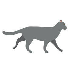 Vector flat hand drawn cat isolated on white background