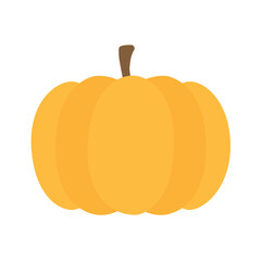 Vector flat hand drawn pumpkin isolated on white background