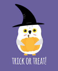 Vector flat cartoon Halloween witch owl with pumpkin and trick or treat lettering isolated on purple background