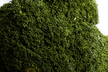 Fresh broccoli close-up isolated on a white background