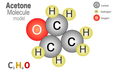 Acetone molecule model, propanone formed from 3 carbon atoms, 6 hydrogen atoms and oxygen atom linked together. Dimethyl ketone, molecular formula C3H6O. Diagram, infographic. Vector illustrator