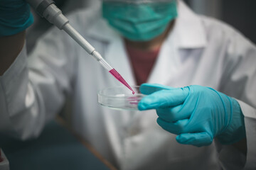 Closeup shot of a medical researcher using a micropipette to add drops of developed red drug liquid .in testing the biological activity with culture cells in a laboratory. - obrazy, fototapety, plakaty