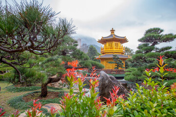 Fantastic podocarp large-leaved bonsai trees  and central golden pagoda surrounded water pond -...