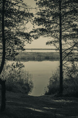 Fototapeta na wymiar misty morning on the lake