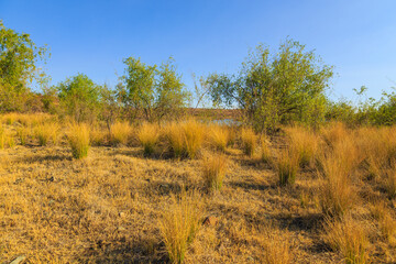 Fototapeta premium View of the Lake Oanob, holiday resort, Namibia.