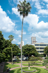 Pereira, Risaralda, Colombia. February 3, 2022: Olaya Herrera park landscape with blue sky.