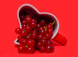 Red currant in a red cup on a red background. Horizontal. Background with copy space.