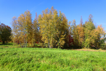 Fall landscape north america Quebec province Canada