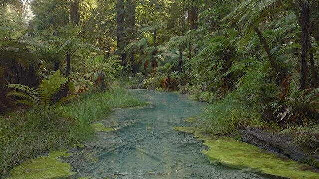 Aerial of blue geothermal spring in the forest, Rotorua, New Zealand