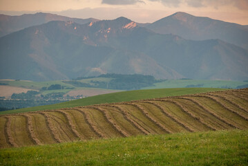 field  in the  mountains