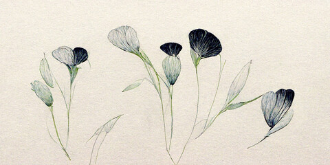 Black and white flowers illustration pencil illustration on a white background.