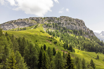 Landscape of Italian Dolomites in summer with green meadows