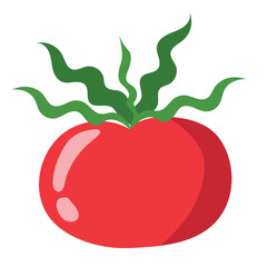fresh tomato vegetable