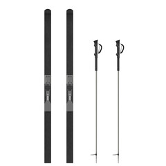 3d rendering illustration of nordic skis with poles