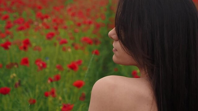 Cute sexy beautiful woman in a red field of poppy flowers. Brunette girl long flowing hair. Portrait view. concept of lightness and tenderness