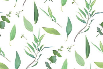 Vector, leafy seamless pattern. Leaf, leaves, green eucalyptus branch textile fabric, texture background. Watercolor twig, seeds, leaf. Sage, greenery decorative paper print. Isolated white background