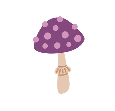 Purple magic mushroom toadstool. Fly agaric, fairy-mushroom, amanita muscaria, fungus. Inedible poisonous mushroom. Witchcraft ingredient, element. Vector hand drawn illustration.