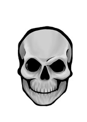 Skull