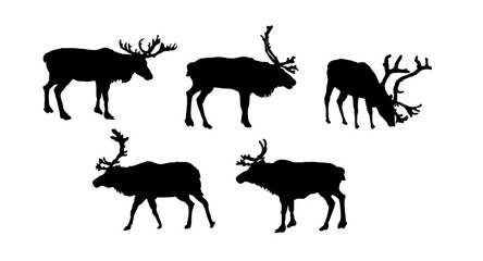 Set of reindeer silhouettes, reindeer - vector illustration