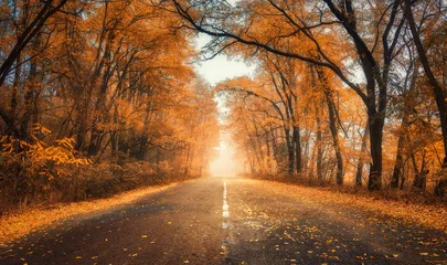 Abwaschbare Fototapete Morgen mit Nebel Red forest in fog with country road at sunset in autumn in Ukraine. Colorful landscape with road in tunnel of foggy trees, orange leaves in fall. Autumn colors. Woods with vibrant foliage and sunlight