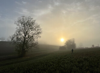 Fototapeta na wymiar chasseur au levé du soleil avec une brume matinale 