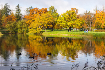 Fototapeta na wymiar Alexander Park in autumn in October