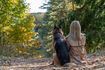 Back view of sitting woman and dog in autumn wood on the mountain