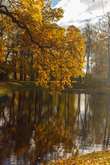 Fototapeta na wymiar Alexander Park in autumn in October. Background