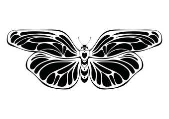 Fototapeta premium Butterfly vector illustration. Vector silhouette isolated on white background.