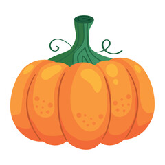 pumpkin vegetable autumn season