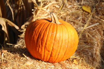 October Of The Pumpkin
