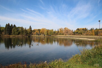 autumn landscape with lake and trees
