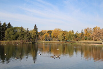 lake in autumn, William Hawrelak Park, Edmonton, Alberta