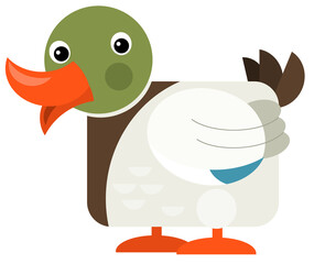 Cartoon funny bird chicken rooster isolated on white background - illustration for children