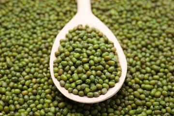 Spoon with green mung beans, closeup view